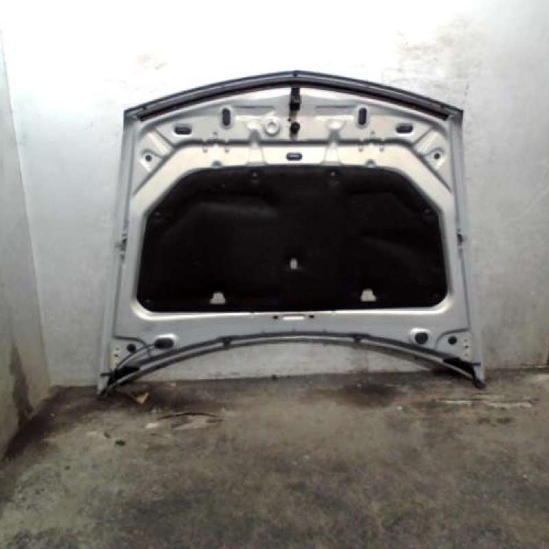 Capot RENAULT VEL SATIS Photo n°2