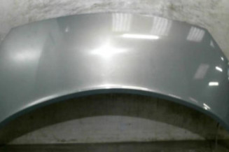 Capot RENAULT SCENIC 2 Photo n°1