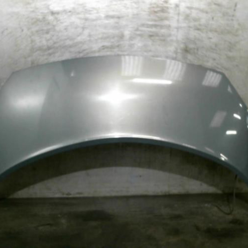 Capot RENAULT SCENIC 2 Photo n°1