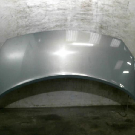 Capot RENAULT SCENIC 2 Photo n°1