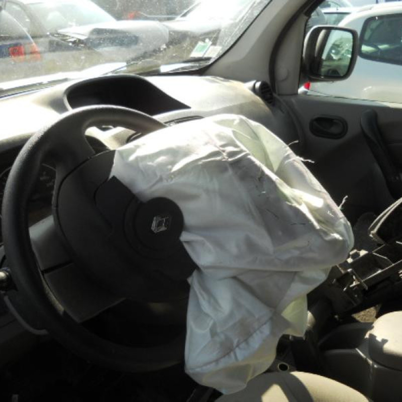 Pedalier d'accelerateur RENAULT KANGOO 2 Photo n°10