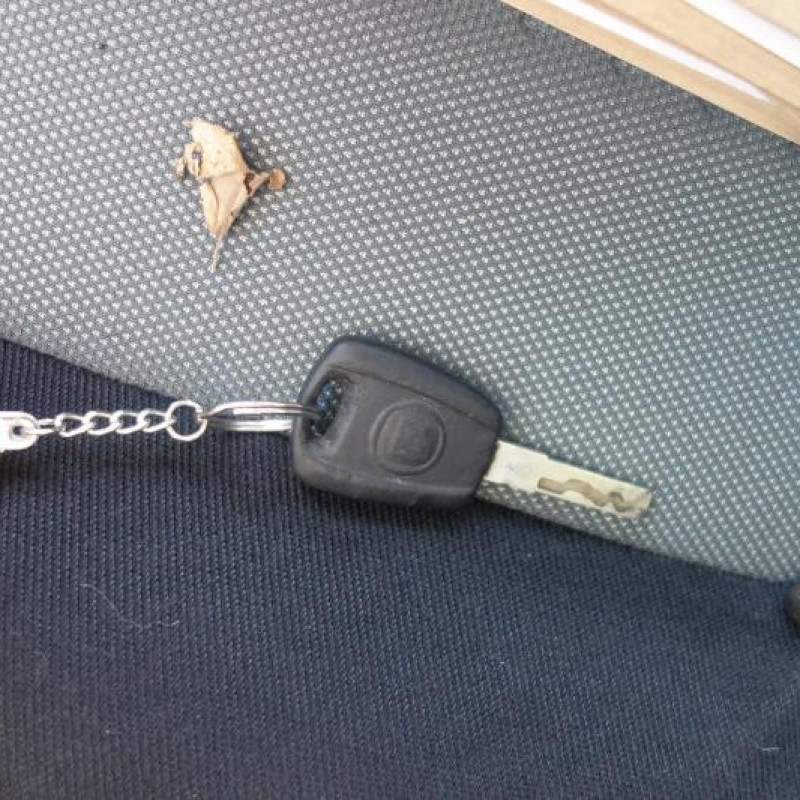 Porte avant droit FIAT GRANDE PUNTO Photo n°10