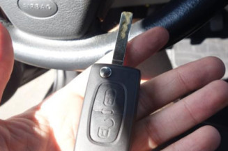 Malle/Hayon arriere CITROEN C3 PLURIEL