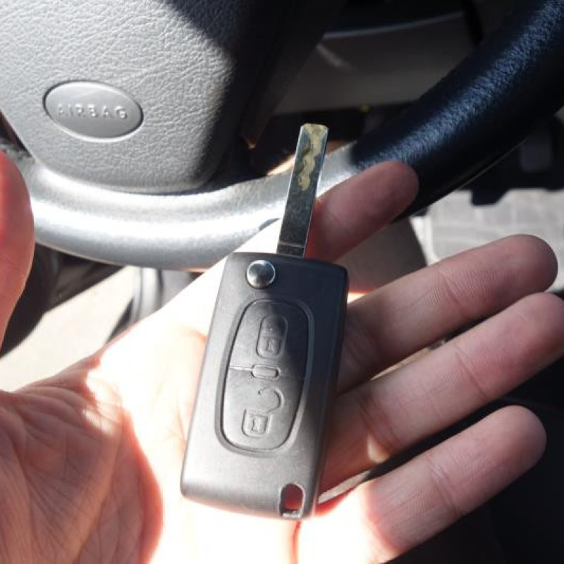 Retroviseur droit CITROEN C3 PLURIEL Photo n°11