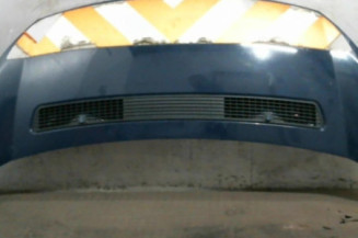 Capot PEUGEOT EXPERT 2 Photo n°1