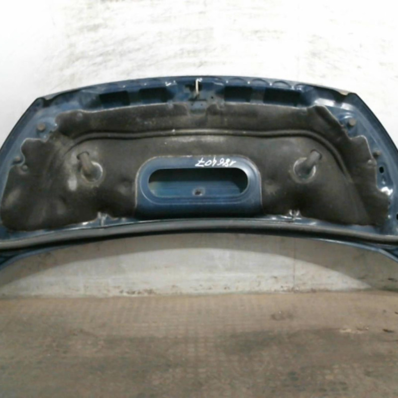 Capot PEUGEOT EXPERT 2 Photo n°2