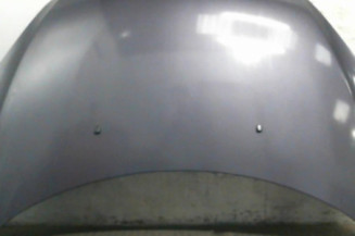 Capot PEUGEOT 307 Photo n°1