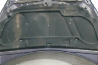 Capot PEUGEOT 307