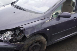 Capot PEUGEOT 307