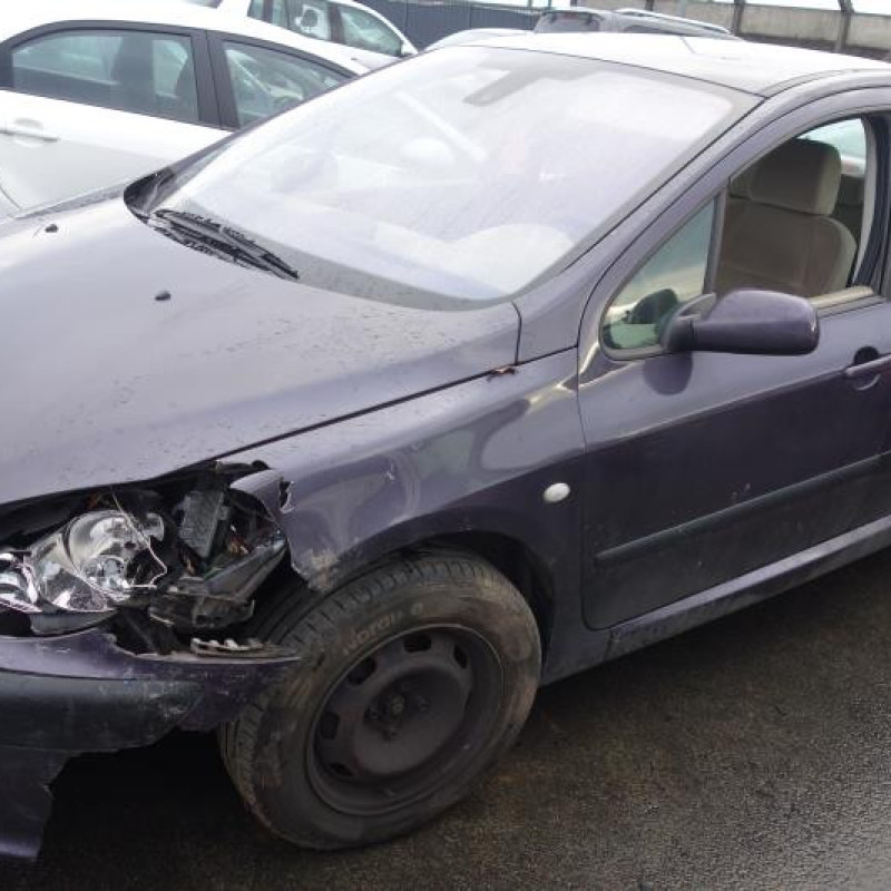 Capot PEUGEOT 307 Photo n°4