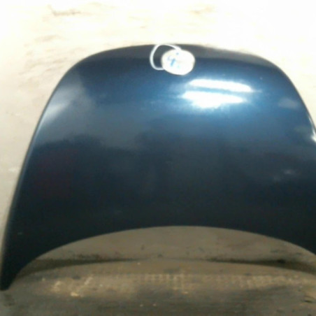 Capot VOLKSWAGEN NEW BEETLE 1 Photo n°1