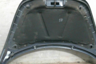 Capot VOLKSWAGEN NEW BEETLE 1