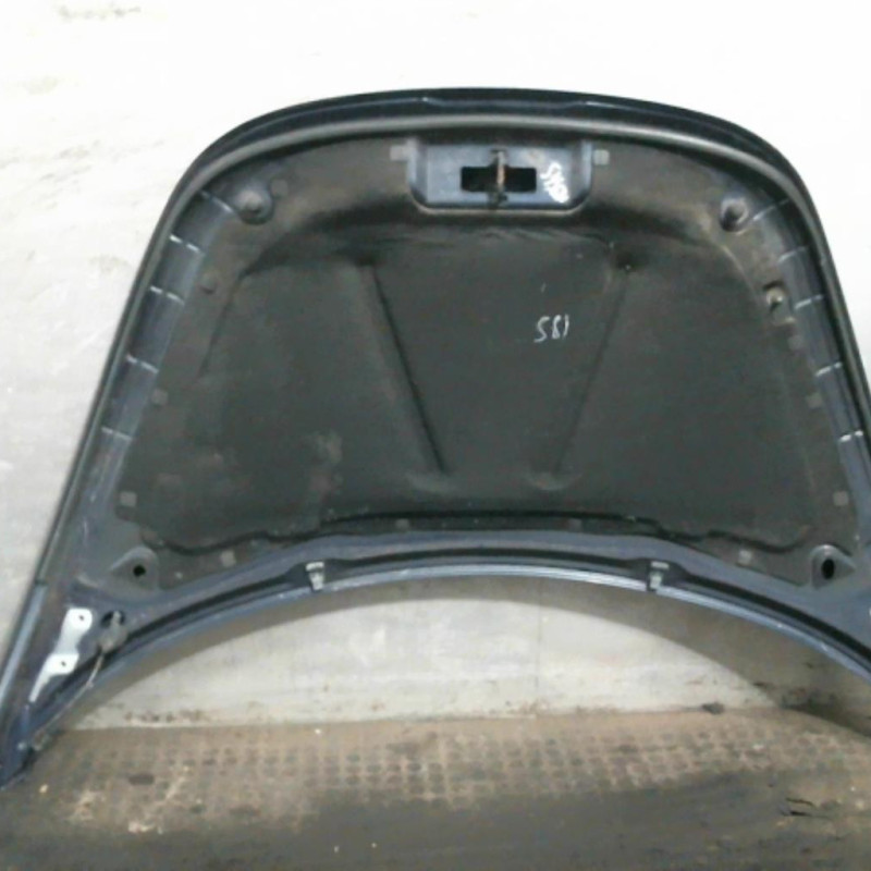 Capot VOLKSWAGEN NEW BEETLE 1 Photo n°3