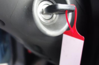 Porte arriere gauche FIAT PANDA 2