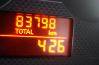 Porte arriere gauche FIAT PANDA 2