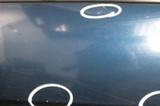 Porte avant gauche MERCEDES CLASSE A 169