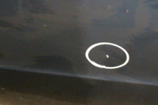 Porte avant gauche MERCEDES CLASSE A 169