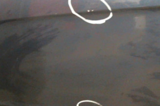 Porte avant gauche MERCEDES CLASSE A 169