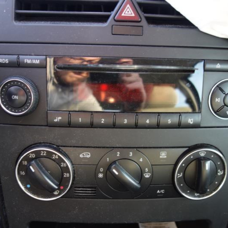 Porte avant gauche MERCEDES CLASSE A 169 Photo n°15