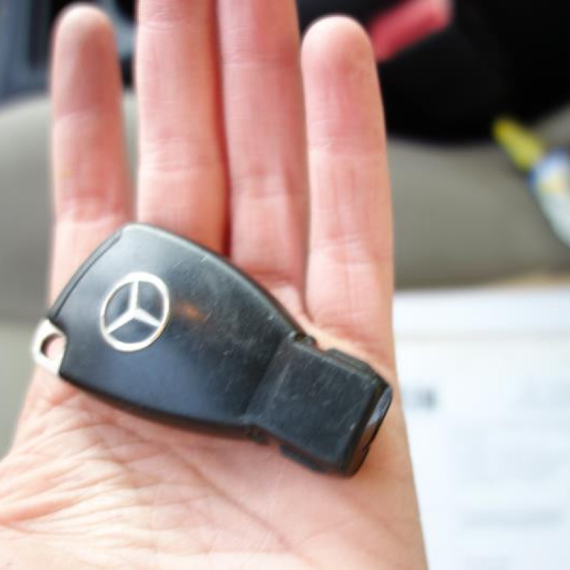Porte avant gauche MERCEDES CLASSE A 169 Photo n°16