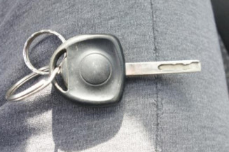 Porte arriere gauche OPEL COMBO C