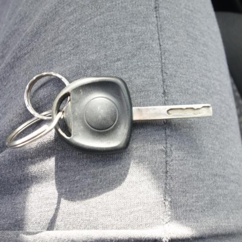 Porte arriere gauche OPEL COMBO C Photo n°12