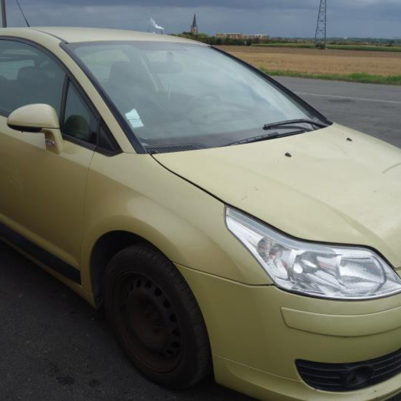 Porte avant droit CITROEN C4 1 Photo n°4