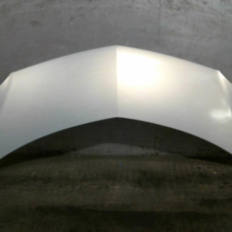 Capot RENAULT MODUS Photo n°1