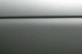 Porte arriere gauche BMW SERIE 5 E39