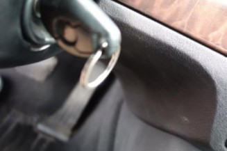 Porte arriere gauche BMW SERIE 5 E39