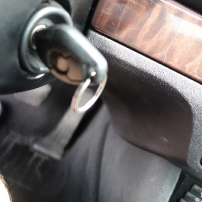 Porte arriere gauche BMW SERIE 5 E39 Photo n°14