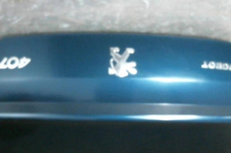 Malle/Hayon arriere PEUGEOT 407