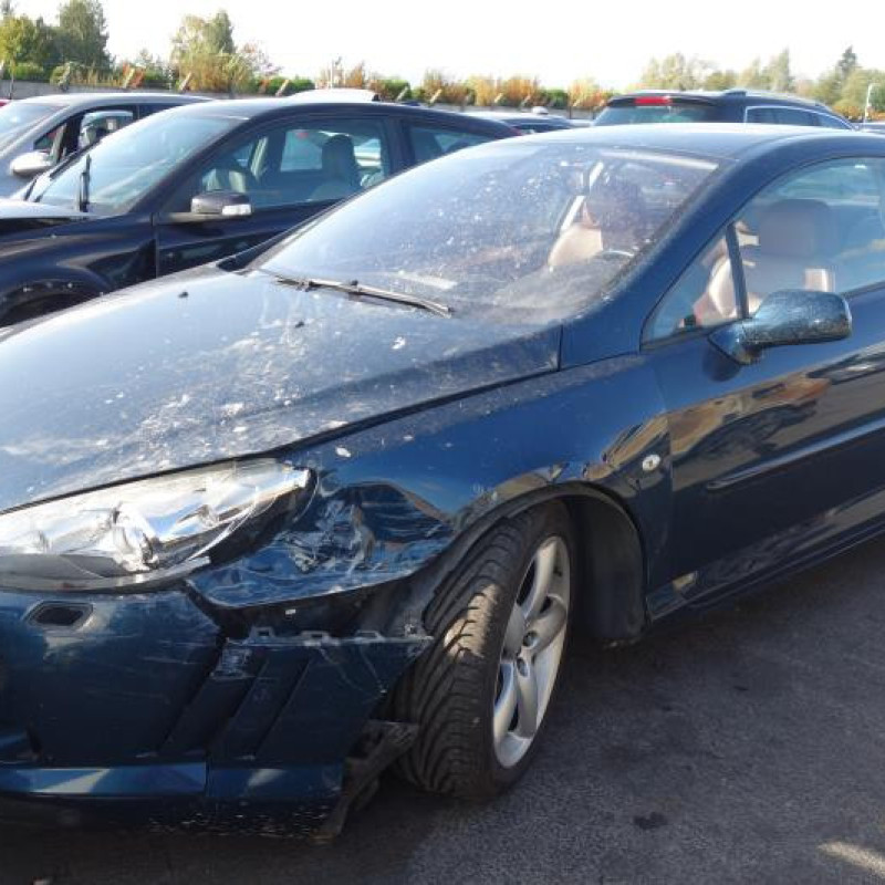 Malle/Hayon arriere PEUGEOT 407 Photo n°5