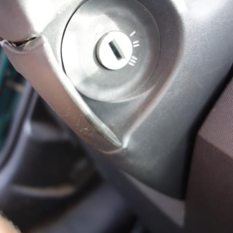 Porte arriere droit OPEL MERIVA A Photo n°11