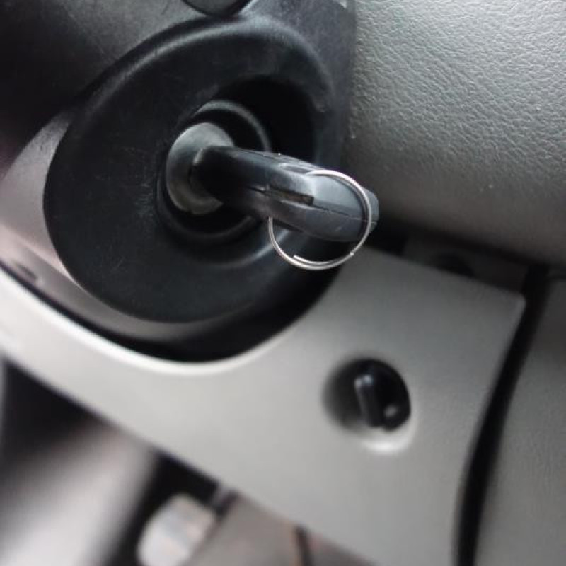 Porte avant droit RENAULT MASTER 2 Photo n°11