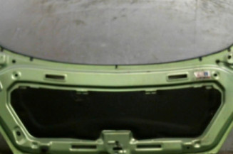 Capot PEUGEOT 1007