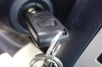 Capot PEUGEOT 1007