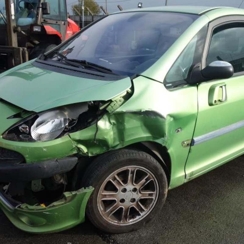 Malle/Hayon arriere PEUGEOT 1007 Photo n°3