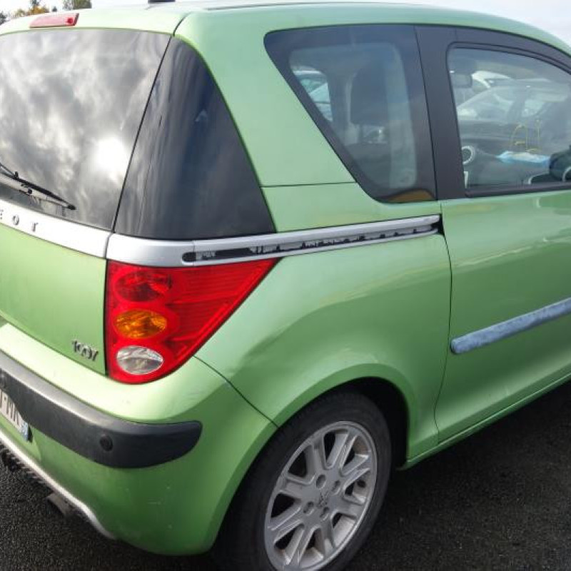 Malle/Hayon arriere PEUGEOT 1007 Photo n°5