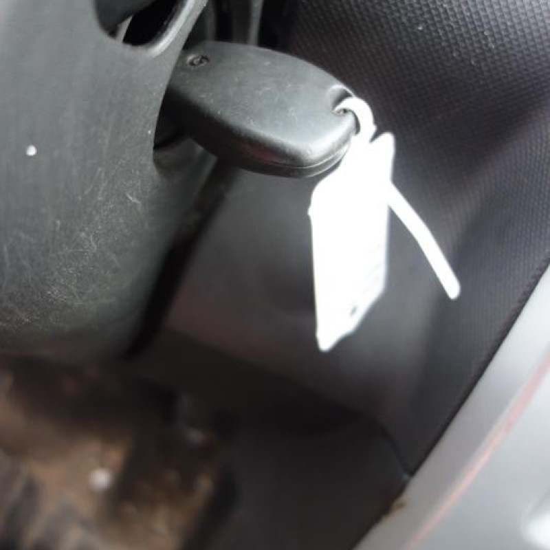 Poignee porte avant gauche DACIA SANDERO 1 Photo n°10