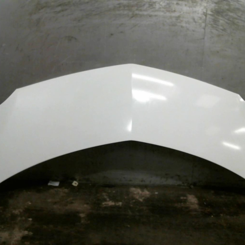 Capot RENAULT MODUS Photo n°1