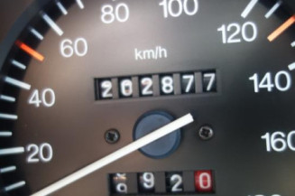 Calandre CITROEN AX