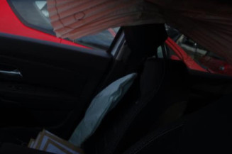 Pedale d'accelerateur DACIA DUSTER 2