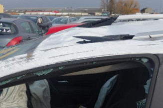 Pedale d'accelerateur DACIA DUSTER 2