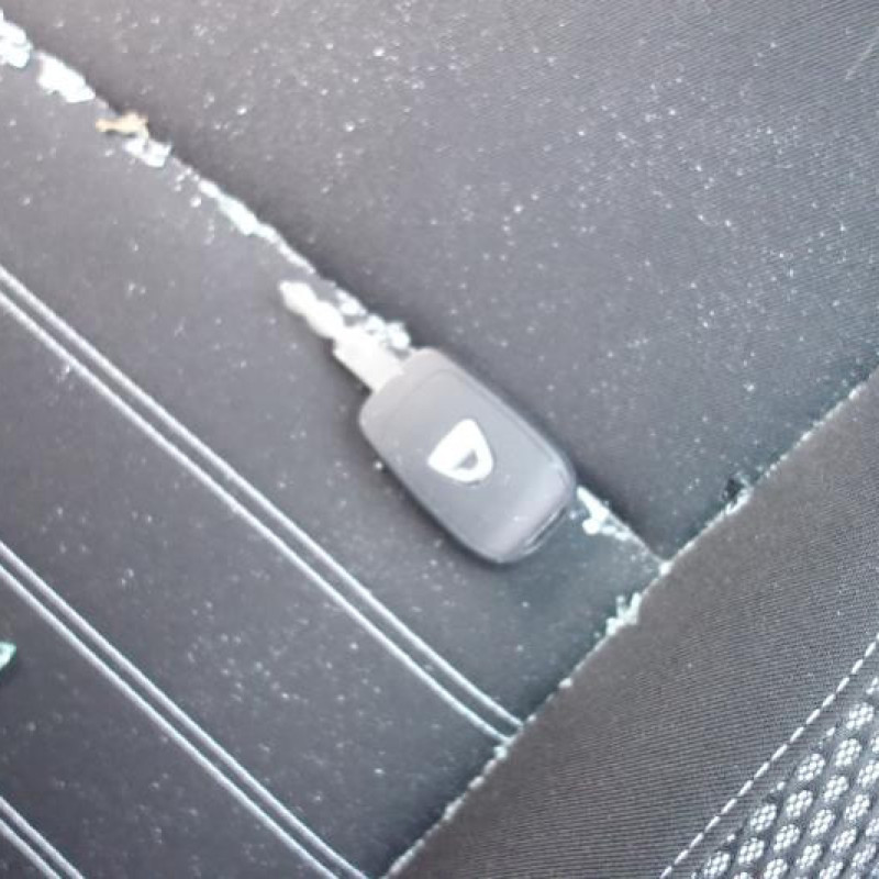 Pedalier d'accelerateur DACIA DUSTER 2 Photo n°14