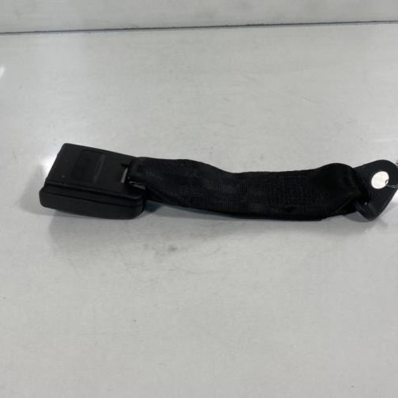 Attache ceinture arriere gauche PEUGEOT 206+ Photo n°2