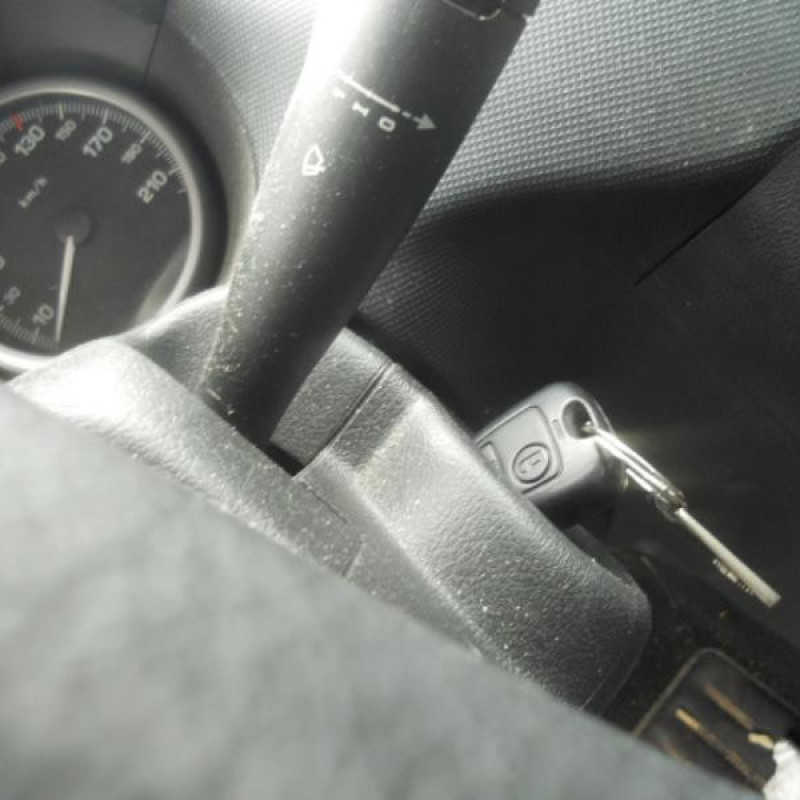 Attache ceinture arriere gauche PEUGEOT 206+ Photo n°13