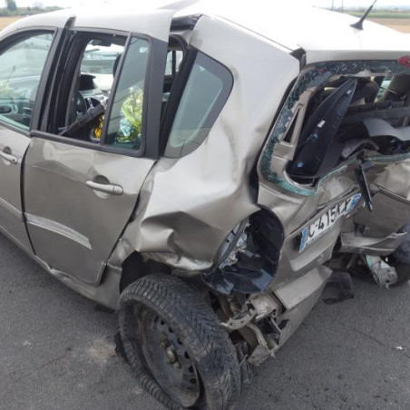 Custode arriere gauche (porte) RENAULT GRAND MODUS