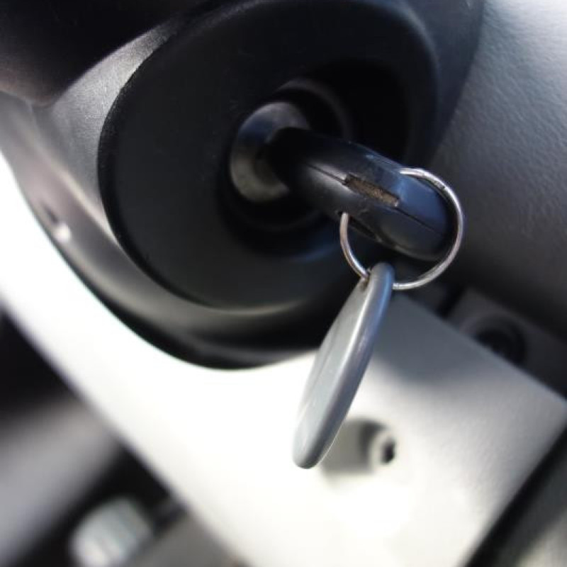 Crosse arriere droit RENAULT MASTER 2 Photo n°10