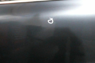Porte avant gauche VOLKSWAGEN PASSAT 4